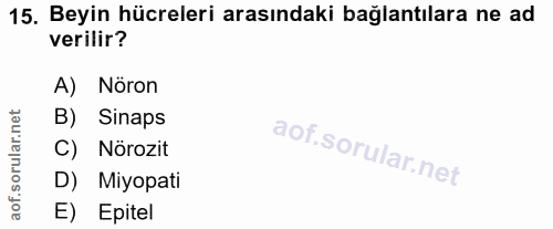 15. soru: Beyin hücreleri arasındaki bağlantılara ne ad verilir? A) Nöron B) Sinaps C) Nörozit D) Miyopati aof. E) Epitel