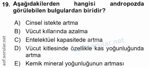 19. soru: Aşağıdakilerden hangisi andropozda görülebilen bulgulardan biridir? A) Cinsel istekte artma B) Vücut kıllarında azalm…