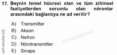 17. soru: Beynin temel hücresi olan ve tüm zihinsel faaliyetlerden sorumlu olan nöronlar arasındaki bağlantıya ne ad verilir? A…