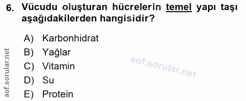 6. soru: Vücudu oluşturan hücrelerin temel yapı taşı aşağıdakilerden hangisidir? A) Karbonhidrat B) Yağlar C) Vitamin i D) Su…
