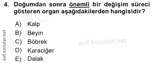 4. soru: Doğumdan sonra önemli bir değişim süreci gösteren organ aşağıdakilerden hangisidir? A) Kalp B) Beyin C) Böbrek D) Kar…