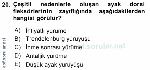 20. soru: Çeşitli nedenlerle oluşan ayak dorsi fleksörlerinin zayıflığında aşağıdakilerden hangisi görülür? A) Ihtiyatlı yürüme…