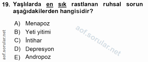 19. soru: Yaşlılarda en sık rastlanan ruhsal sorun aşağıdakilerden hangisidir? A) Menapoz B) Yeti yitimi C) Intihar D) Depresyo…