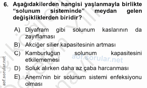 6. soru: Aşağıdakilerden hangisi yaşlanmayla birlikte "solunum sisteminde" meydan gelen değişikliklerden biridir? A) Diyafram…