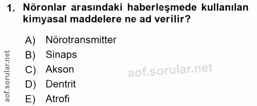 1. soru: Nöronlar arasındaki haberleşmede kullanılan kimyasal maddelere ne ad verilir? A) Nörotransmitter B) Sinaps C) Akson D…