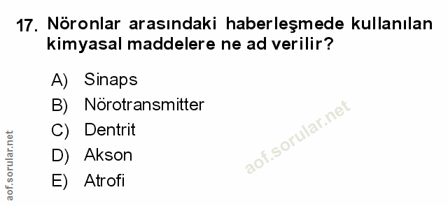 17. soru: Nöronlar arasındaki haberleşmede kullanılan kimyasal maddelere ne ad verilir? A) Sinaps B) Nörotransmitter C) Dentrit…