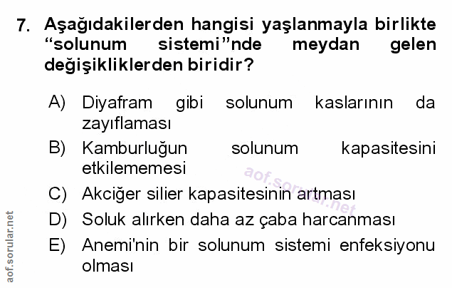 7. soru: Aşağıdakilerden hangisi yaşlanmayla birlikte "solunum sistemi"nde meydan gelen değişikliklerden biridir? A) Diyafram…