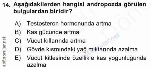 14. soru: Aşağıdakilerden hangisi andropozda görülen bulgulardan biridir? A) Testosteron hormonunda artma B) Kas gücünde artma…