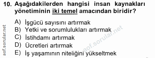 10. soru: Aşağıdakilerden hangisi insan kaynakları yönetiminin iki temel amacından biridir? A) İşgücü sayısını artırmak B) Yetk…