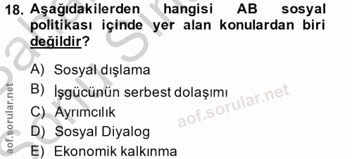 18. soru: Aşağıdakilerden hangisi AB sosyal politikası içinde yer alan konulardan biri değildir? A) Sosyal dışlama B) İşgücünün…