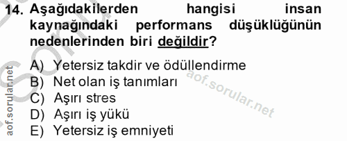 14. soru: Aşağıdakilerden hangisi insan kaynağındaki performans düşüklüğünün nedenlerinden biri değildir? A) Yetersiz takdir ve…