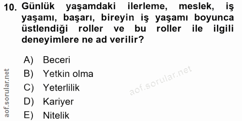 10. soru: Günlük yaşamdaki ilerleme, meslek, iş yaşamı, başarı, bireyin iş yaşamı boyunca üstlendiği roller ve bul roller ile i…