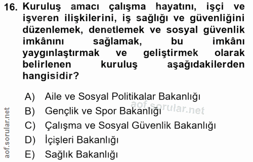 16. soru: Kuruluş amacı çalışma hayatını, işçi ve işveren ilişkilerini, iş sağlığı ve güvenliğini düzenlemek, denetlemek ve sos…