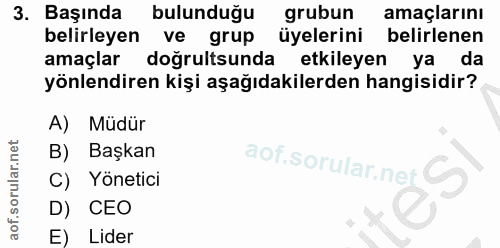 3. soru: Başında bulunduğu grubun amaçlarını belirleyen ve grup üyelerini belirlenen amaçlar doğrultsunda etkileyen yak da yön…