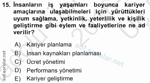 15. soru: Insanların iş yaşamları boyunca kariyer amaçlarına ulaşabilmeleri için yürüttükleri uyum sağlama, yetkinlik, yeterlil…