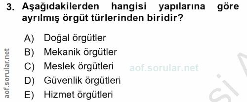 3. soru: Aşağıdakilerden hangisi yapılarına göre ayrılmış örgüt türlerinden biridir? A) Doğal örgütler B) Mekanik örgütler C)…