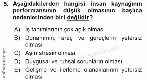 5. soru: Aşağıdakilerden hangisi insan kaynağının performansının düşük olmasının başlica nedenlerinden biri değildir? A) İş ta…