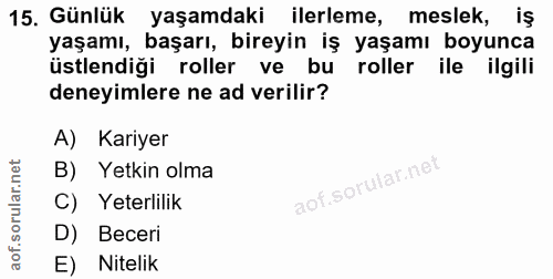 15. soru: Günlük yaşamdaki ilerleme, meslek, iş yaşamı, başarı, bireyin iş yaşamı boyunca üstlendiği roller ve bu roller ile il…