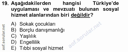 19. soru: Aşağıdakilerden hangisi Türkiye'de uygulaması ve mevzuatı bulunan sosyal hizmet alanlarından biri değildir? A) Sokak…