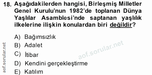 18. soru: Aşağıdakilerden hangisi, Birleşmiş Milletler Genel Kurulu'nun 1982'de toplanan Dünya Yaşlılar Asamblesi'nde saptanan…