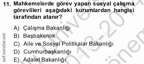 11. soru: Mahkemelerde görev yapan sosyal çalışma görevlileri aşağıdaki kurumlardan hangisi tarafından atanır? A) Çalışma Bakan…