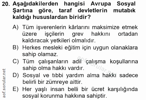 20. soru: Aşağıdakilerden hangisi Avrupa Sosyal Şartına göre, taraf devletlerin mutabık kaldığı hususlardan biridir? A) Tüm işv…