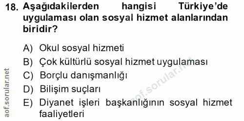 18. soru: Aşağıdakilerden hangisi Türkiye'de uygulaması olan sosyal hizmet alanlarından biridir? A) Okul sosyal hizmeti B) Çok…
