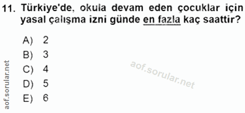 11. soru: Türkiye'de, okula devam eden çocuklar için yasal çalışma izni günde en fazla kaç saattir? A) 2 B) 3 C) D) 5 E) 6