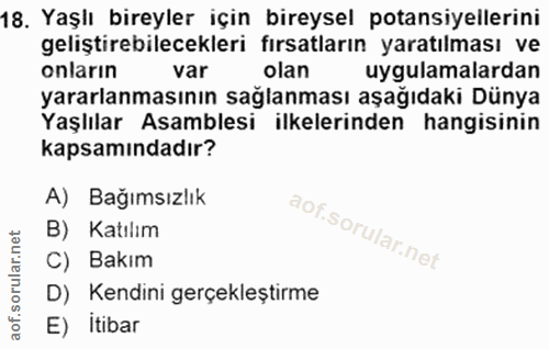 18. soru: Yaşlı bireyler için bireysel potansiyellerini geliştirebilecekleri fırsatların yaratılması ve onların var olan uygula…