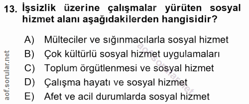 13. soru: İşsizlik üzerine çalışmalar yürüten sosyal hizmet alanı aşağıdakilerden hangisidir? A) Mülteciler ve sığınmacılarla s…