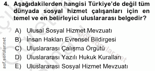 4. soru: Aşağıdakilerden hangisi Türkiye'de değil tüm dünyada sosyal hizmet çalışanları için en temel ve en belirleyici ulusla…
