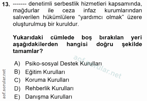 13. soru: - denetimli serbestlik hizmetleri kapsamında, mağdurlar ile ceza infaz kurumlarından salıverilen hükümlülere "yardımc…
