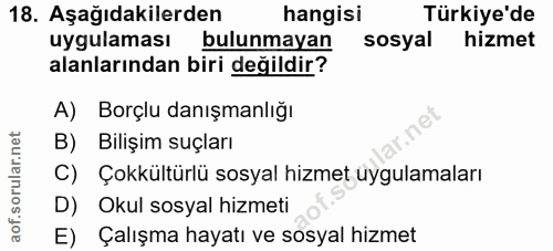 18. soru: Aşağıdakilerden hangisi Türkiye'de uygulaması bulunmayan sosyal hizmet alanlarından biri değildir? A) Borçlu danışman…