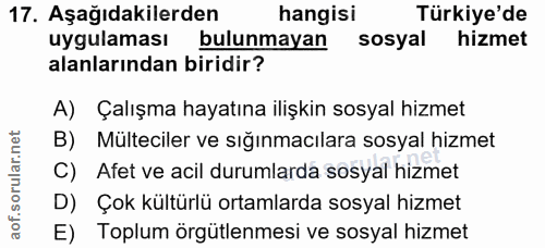 17. soru: Aşağıdakilerden hangisi Türkiye'de uygulaması bulunmayan sosyal hizmet alanlarından biridir? A) Çalışma hayatına iliş…