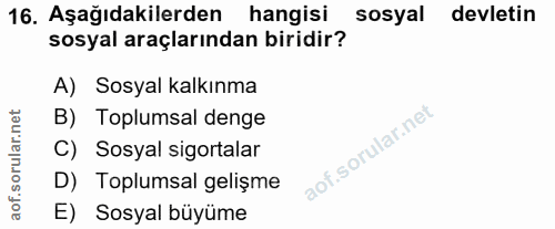 16. soru: Aşağıdakilerden hangisi sosyal devletin sosyal araçlarından biridir? A) Sosyal kalkınma B) Toplumsal denge C) Sosyal…