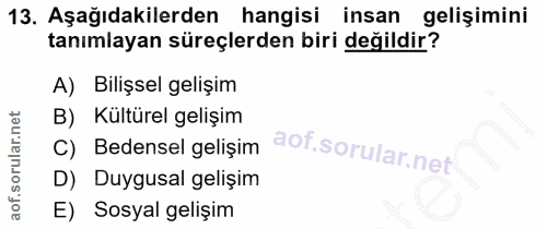 13. soru: Aşağıdakilerden hangisi insan gelişimini tanımlayan süreçlerden biri değildir? A) Bilişsel gelişim B) Kültürel gelişi…