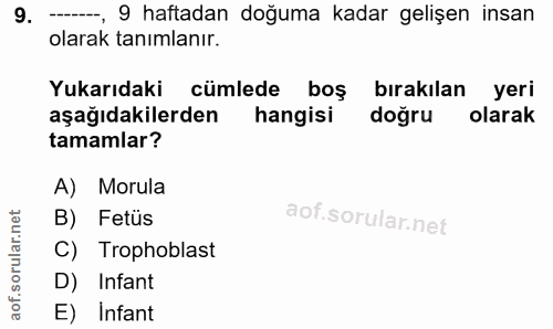 9. soru: ---, 9 haftadan doğuma kadar gelişen insan olarak tanımlanır. Yukarıdaki cümlede boş bırakılan yeri aşağıdakilerden h…