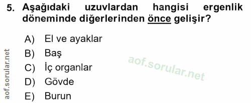 5. soru: Aşağıdaki uzuvlardan hangisi ergenlik döneminde diğerlerinden önce gelişir? A) El ve ayaklar B) Baş C) Iç organlar D)…