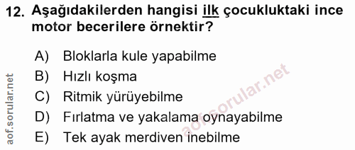 12. soru: Aşağıdakilerden hangisi ilk çocukluktaki ince motor becerilere örnektir? A) Bloklarla kule yapabilme B) Hızlı koşma a…