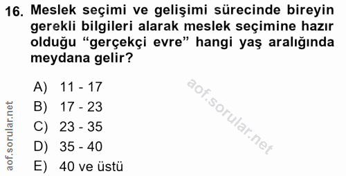 16. soru: Meslek seçimi ve gelişimi sürecinde bireyin gerekli bilgileri alarak meslek seçimine hazır olduğu "gerçekçi evre" han…
