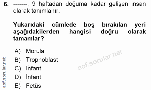 6. soru: --_, 9 haftadan doğuma kadar gelişen insan olarak tanımlanır. Yukarıdaki cümlede boş bırakılan yeri aşağıdakilerden h…