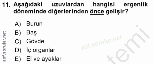 11. soru: Aşağıdaki uzuvlardan hangisi ergenlik döneminde diğerlerinden önce gelişir? A) Burun B) Baş C) Gövde D) Iç organlar E…