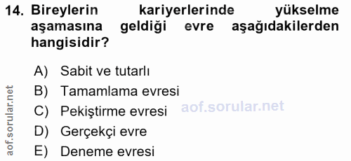 14. soru: Bireylerin kariyerlerinde yükselme aşamasına geldiği evre aşağıdakilerden hangisidir? A) Sabit ve tutarlı rular.net B…