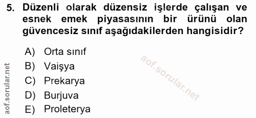 5. soru: Düzenli olarak düzensiz işlerde çalışan ve esnek emek piyasasının bir ürünü olan güvencesiz sınıf aşağıdakilerden han…