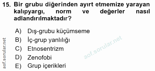 15. soru: Bir grubu diğerinden ayırt etmemize yarayan kalıpyargı, norm ve değerler nasıl adlandırılmaktadır? A) Dış-grubu küçüm…