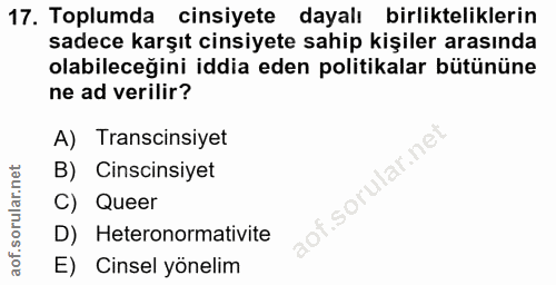 17. soru: Toplumda cinsiyete dayalı birlikteliklerin sadece karşıt cinsiyete sahip kişiler arasında olabileceğini iddia eden po…
