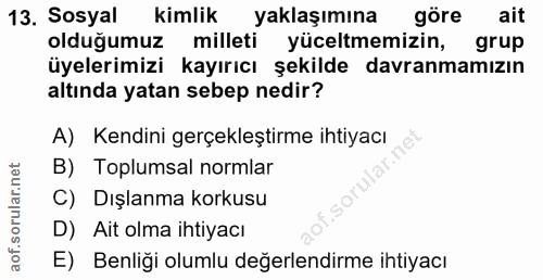 13. soru: Sosyal kimlik yaklaşımına göre ait olduğumuz milleti yüceltmemizin, grup üyelerimizi kayırıcı şekilde davranmamızın a…