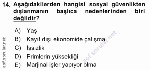 14. soru: Aşağıdakilerden hangisi sosyal güvenlikten dışlanmanın başlıca nedenlerinden biri değildir? A) Yaş в) Kayıt dışı ekon…