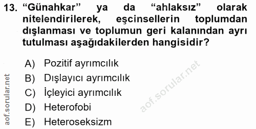 13. soru: "Günahkar" ya da "ahlaksız" olarak nitelendirilerek, eşcinsellerin toplumdan dışlanması ve toplumun geri kalanından a…