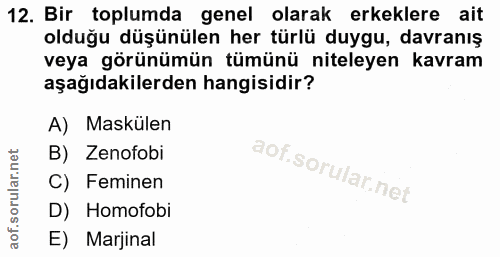 12. soru: Bir toplumda genel olarak erkeklere ait olduğu düşünülen her türlü duygu, davranış veya görünümün tümünü niteleyen ka…